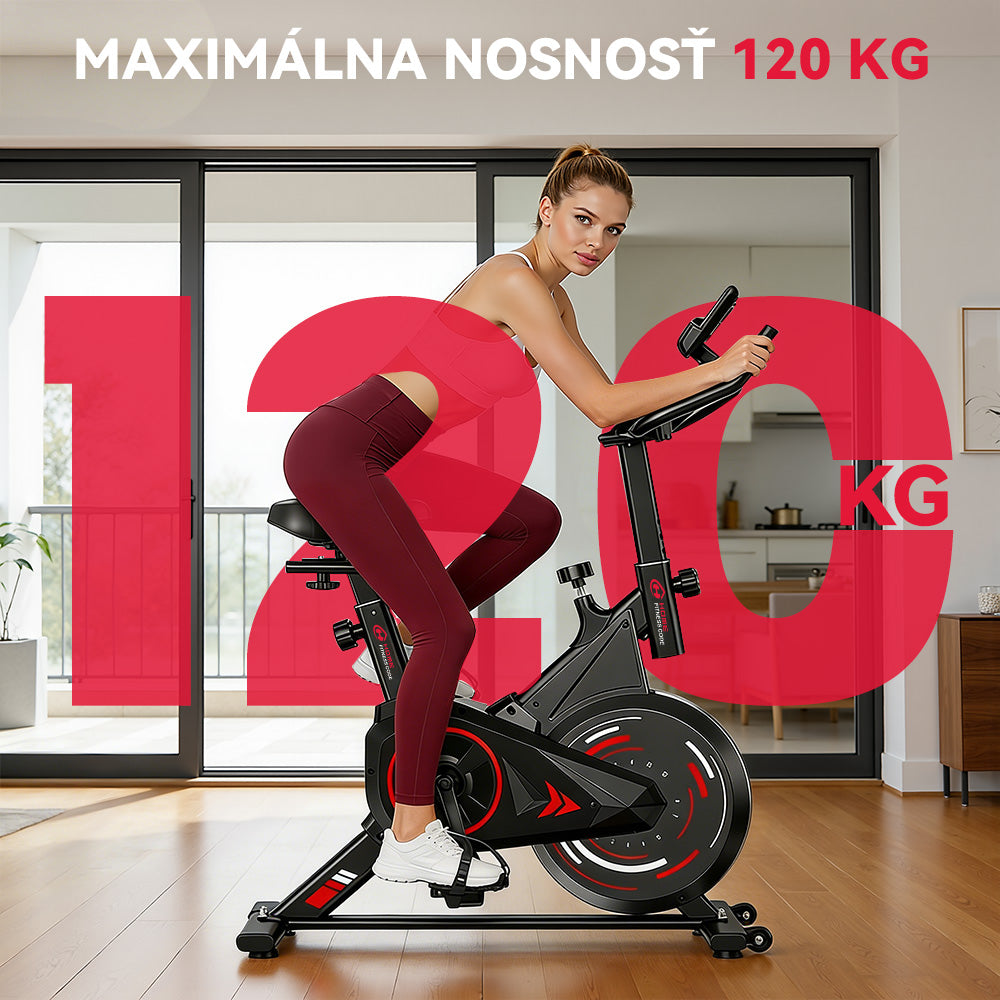 Stacionárny Rotoped C1, Zotrvačník 6 kg