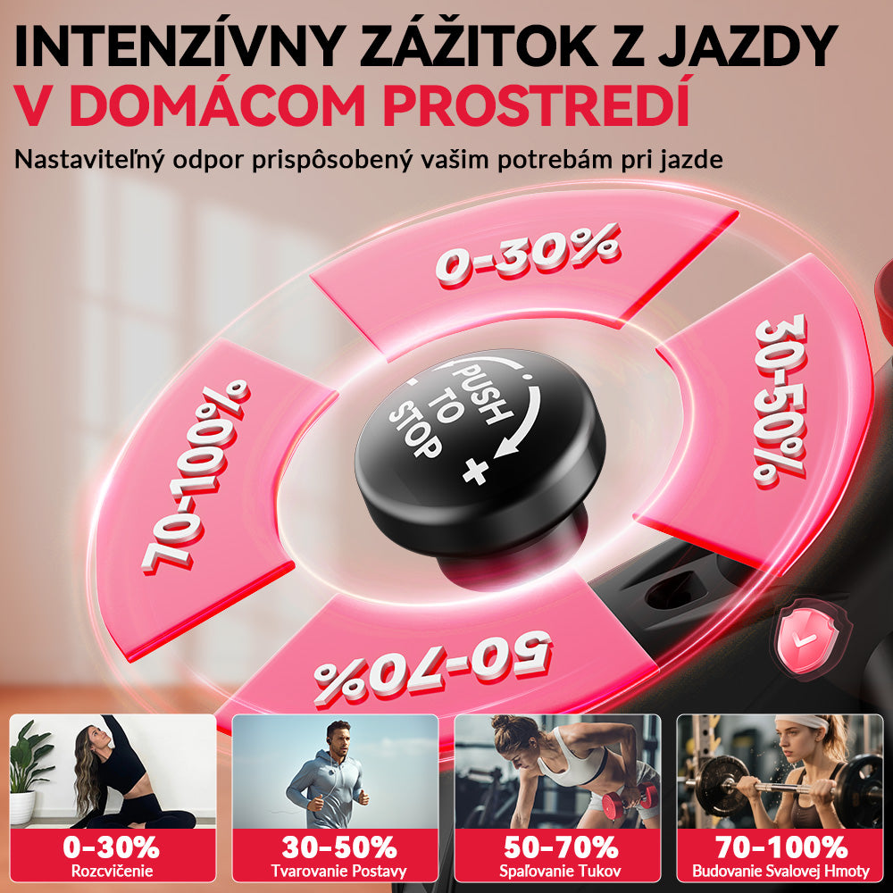 Stacionárny Rotoped D1, Zotrvačník 8 kg/10 kg
