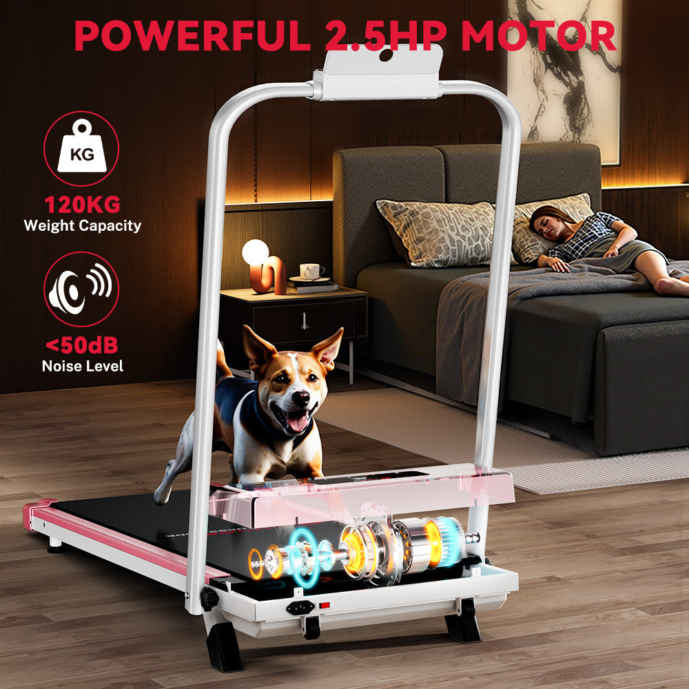 Bežecký Pás C1, Rýchlosť 1–10 km/h, Manuálny Sklon 5 %