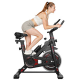 Stacionárny Rotoped D1, Zotrvačník 8 kg/10 kg